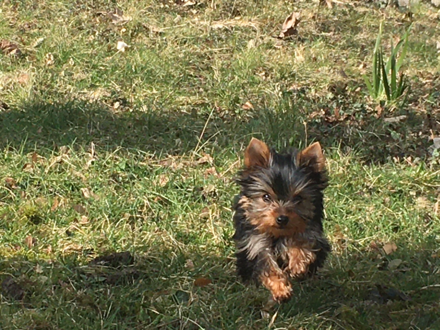 Bonne année 2026 et surprise !