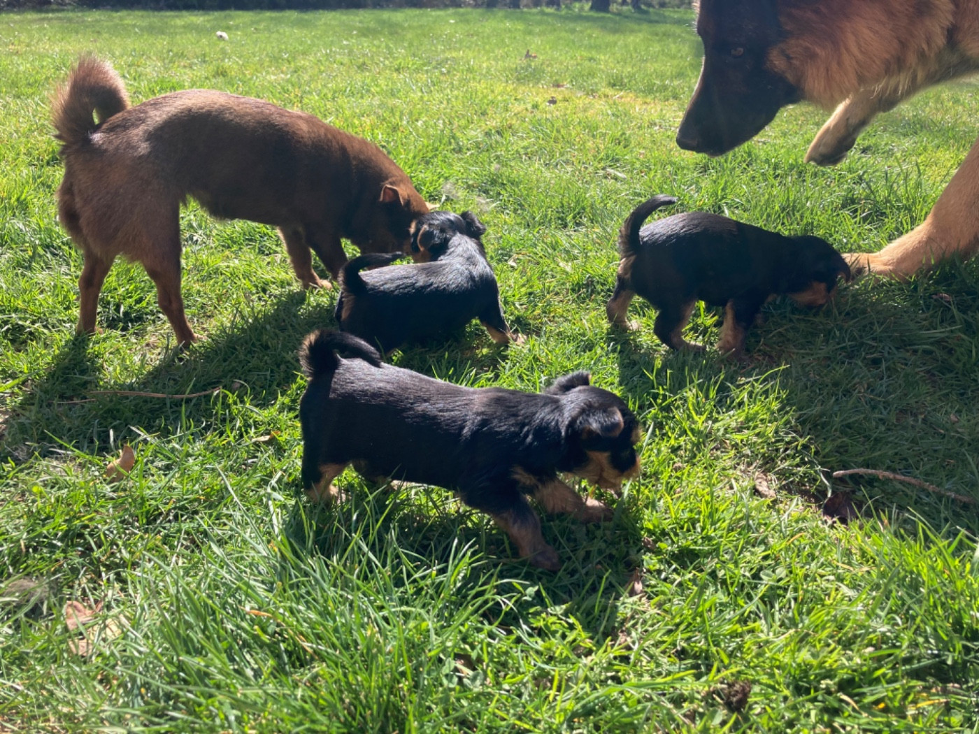 Première sortie dans le jardin