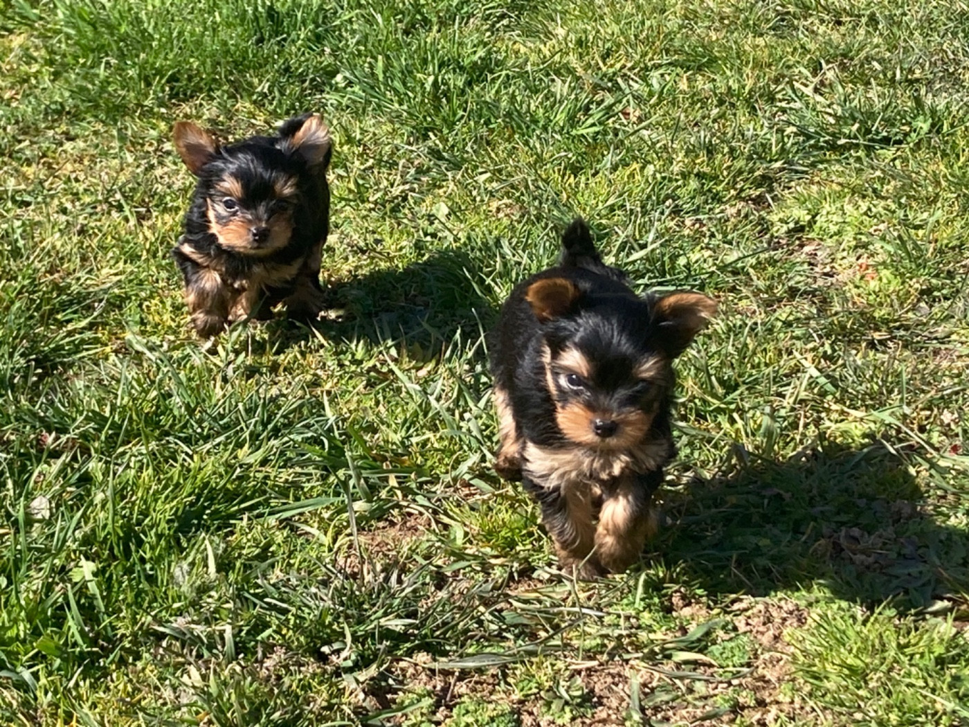 Un beau week-end de Pâques